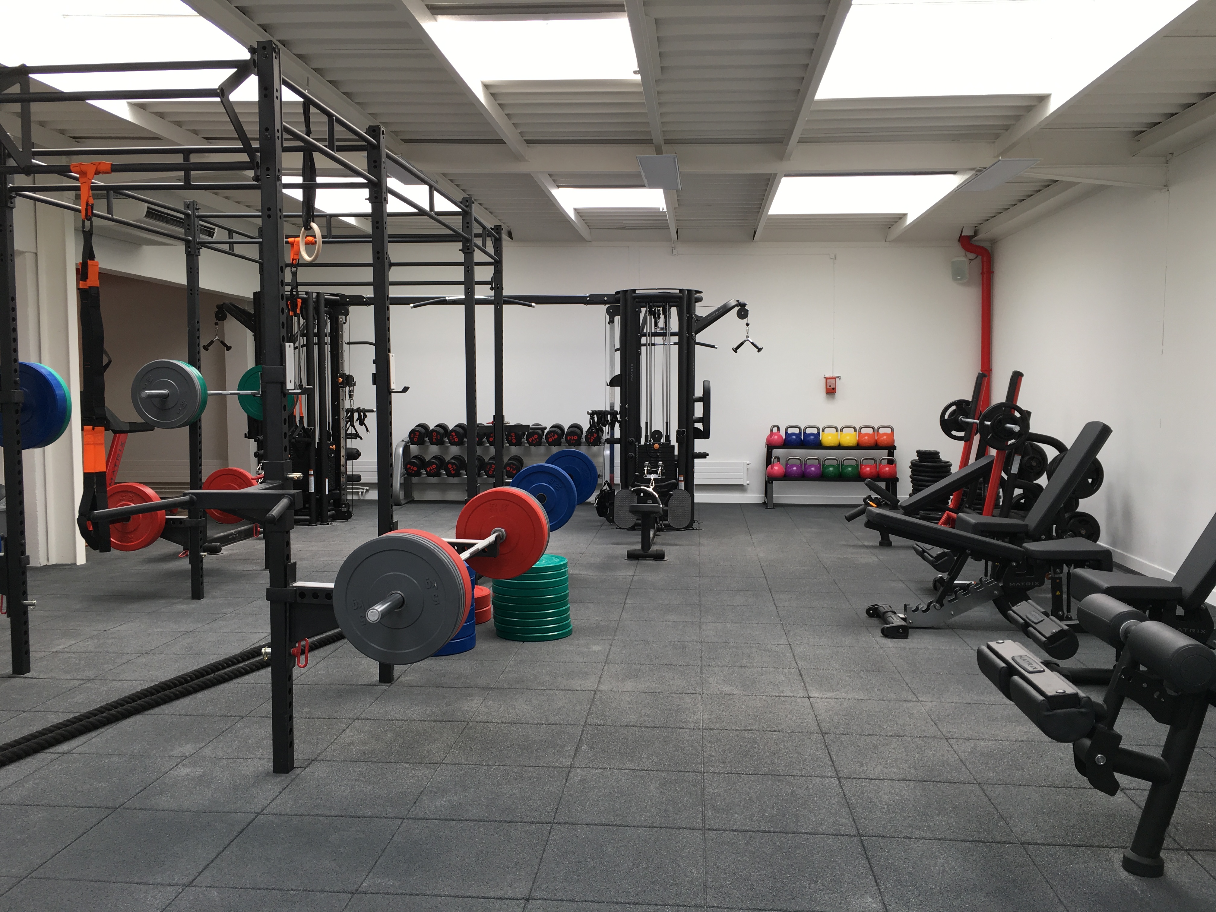 Musculation Libre Musculation Libre